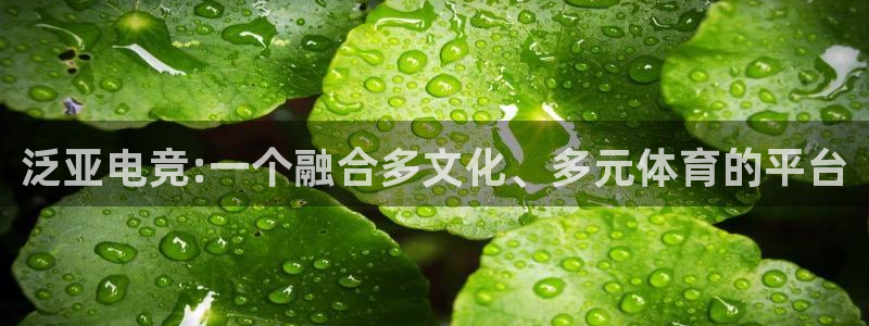 威客电竞客服