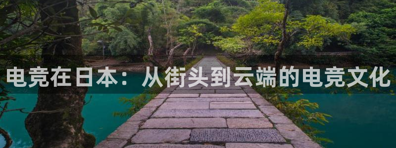 vkgame威客电竞官网